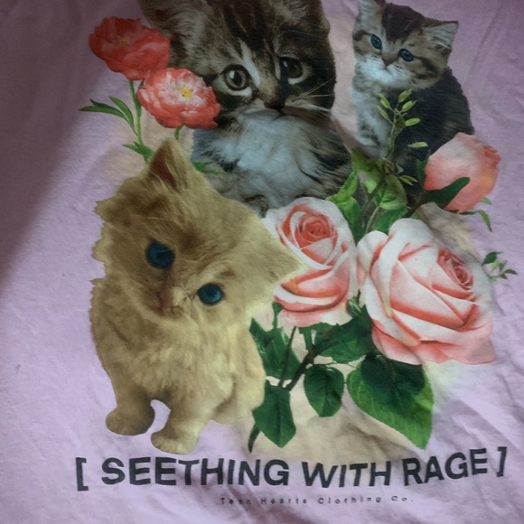Unique Statement: Angry Cat Graphic Tee - Seething with rage - Picture 2 of 4